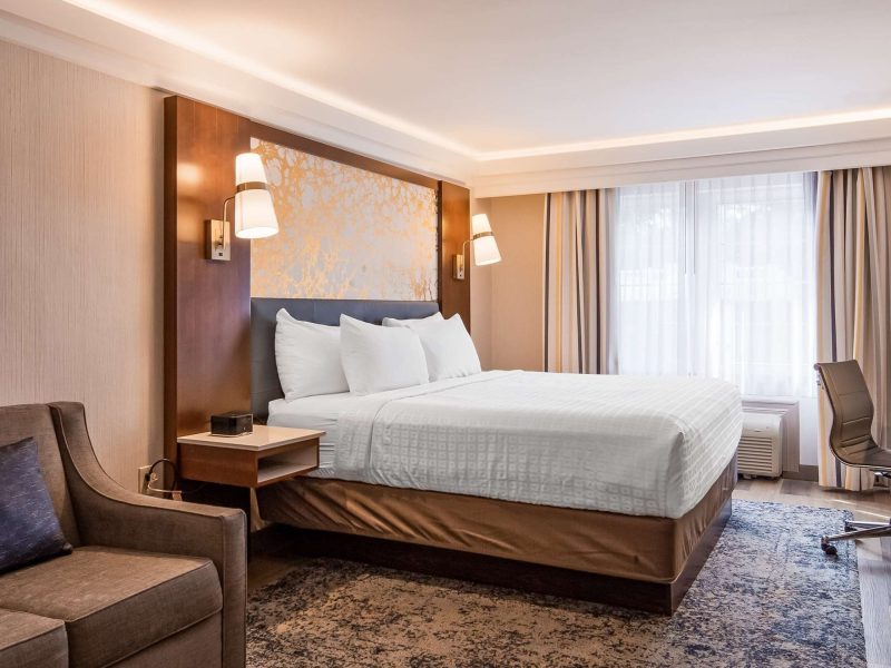 Standard Room, 1 King Bed with Sofa bed, Non Smoking, Refrigerator & Microwave (with Sofabed)