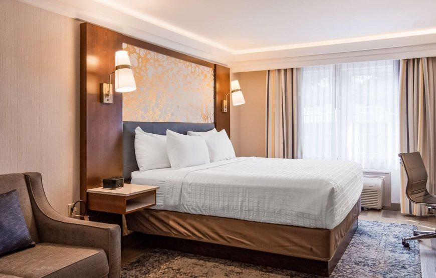 Standard Room, 1 King Bed with Sofa bed, Non Smoking, Refrigerator & Microwave (with Sofabed)