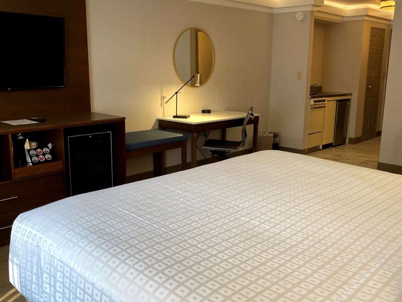 Suite, 1 King Bed with Sofa bed, Non Smoking, Kitchenette (with Sofabed)