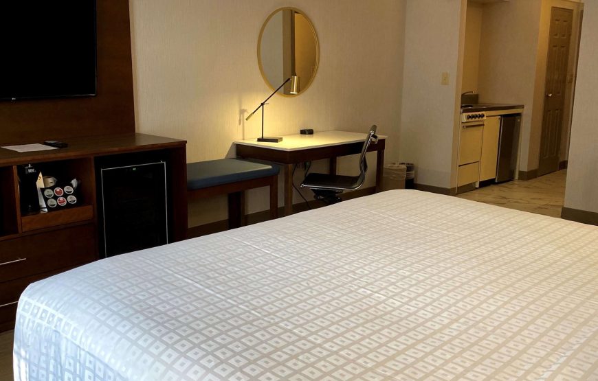 Suite, 1 King Bed with Sofa bed, Non Smoking, Kitchenette (with Sofabed)