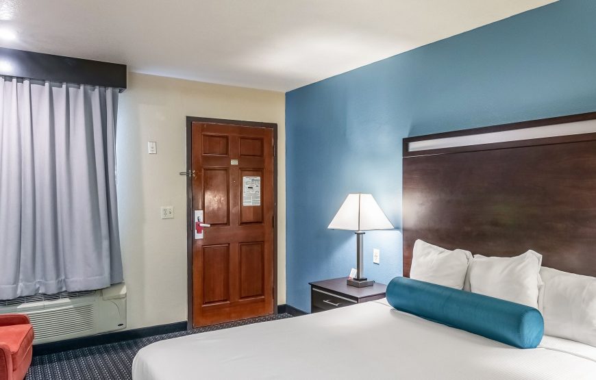 1 King Bed