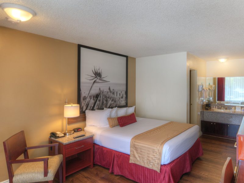 Standard Room, 1 Queen Bed, Non Smoking