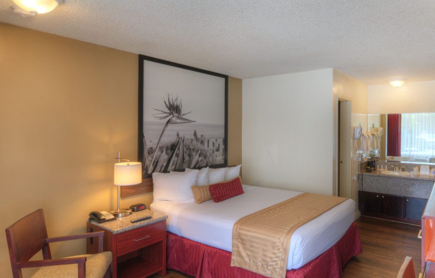 Standard Room, 1 Queen Bed, Non Smoking