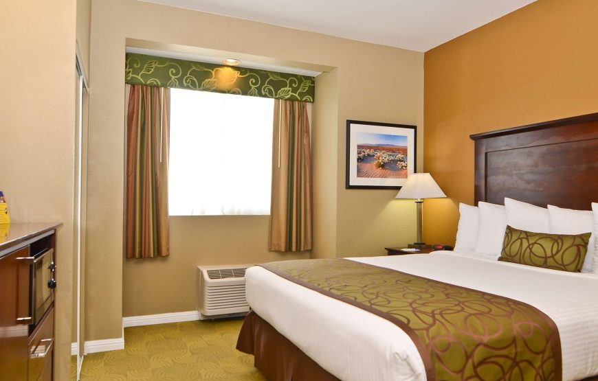 Standard Room, 1 King Bed, Accessible, Non Smoking