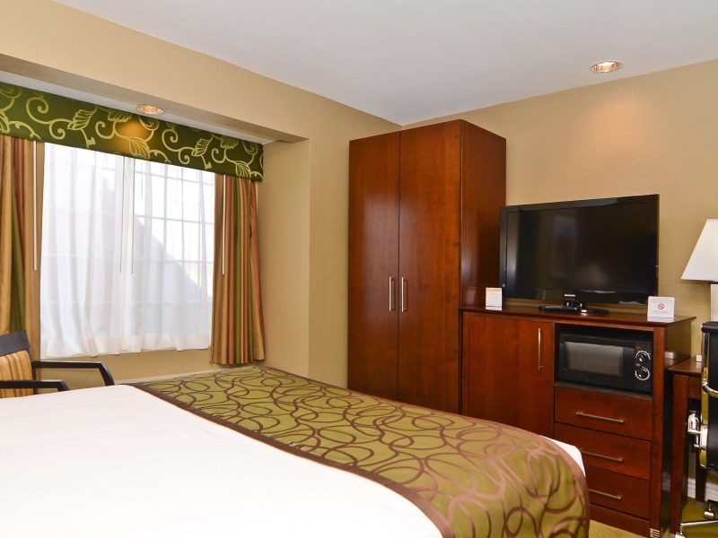 Suite, 1 King Bed with Sofa bed, Accessible, Non Smoking (with Sofabed)