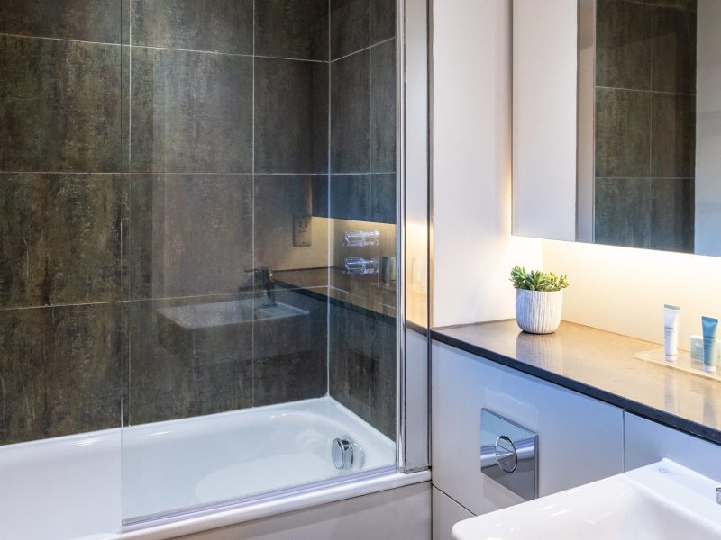 Premium Apartment, 1 Bedroom