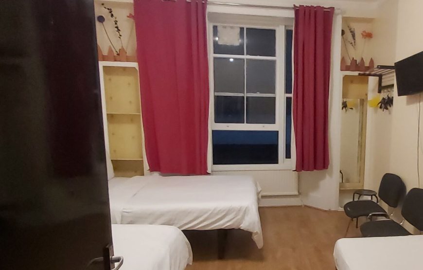 Triple Room (37 Collingaham Place)