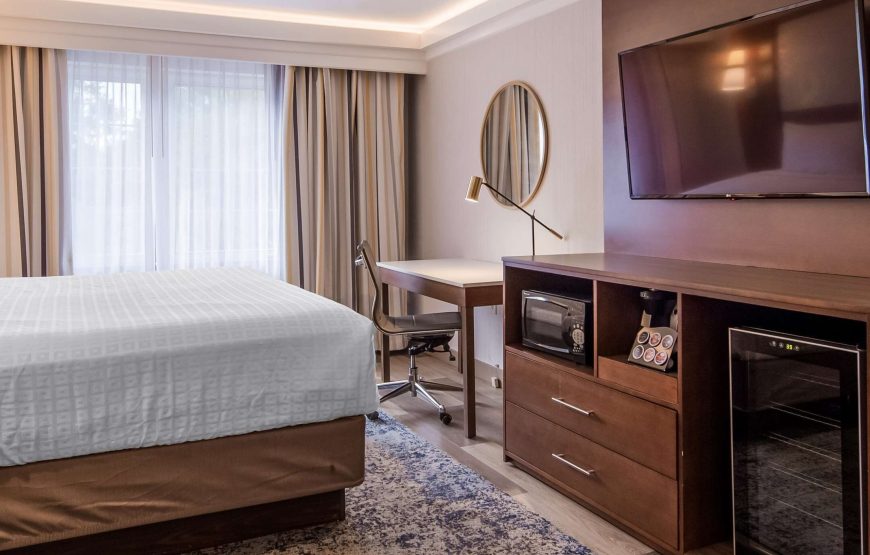 Standard Room, 1 King Bed with Sofa bed, Non Smoking, Refrigerator & Microwave (with Sofabed)
