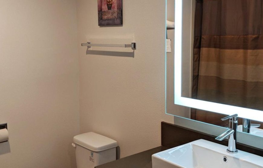 1 King Bed, Accessible with Roll-in Shower