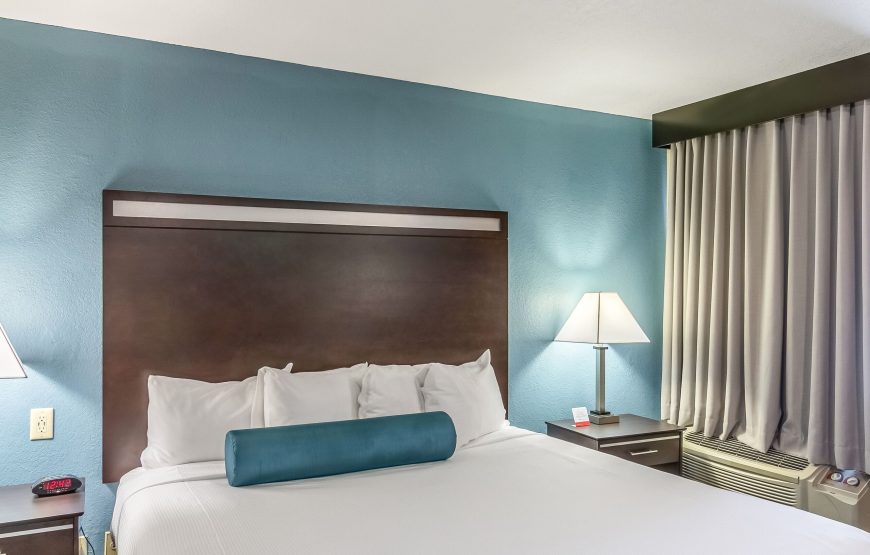 Suite 1 King bed
