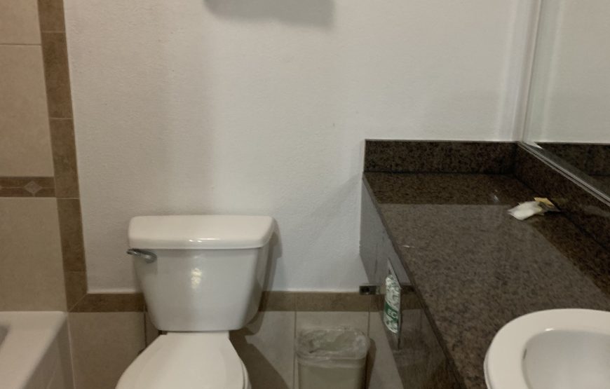 Comfort Single Room