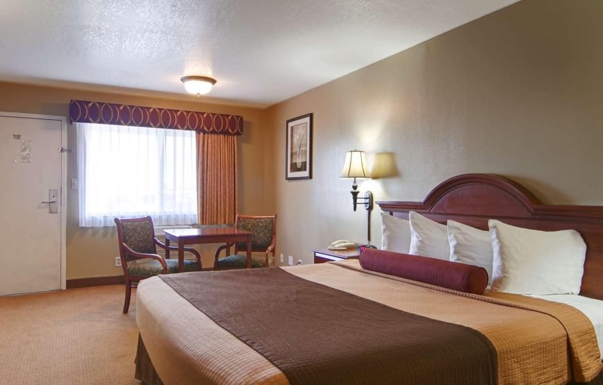 Standard Room, 1 King Bed, Non Smoking, Refrigerator & Microwave