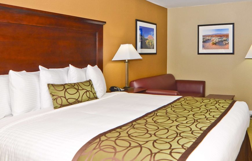 Standard Room, 1 King Bed, Accessible, Non Smoking