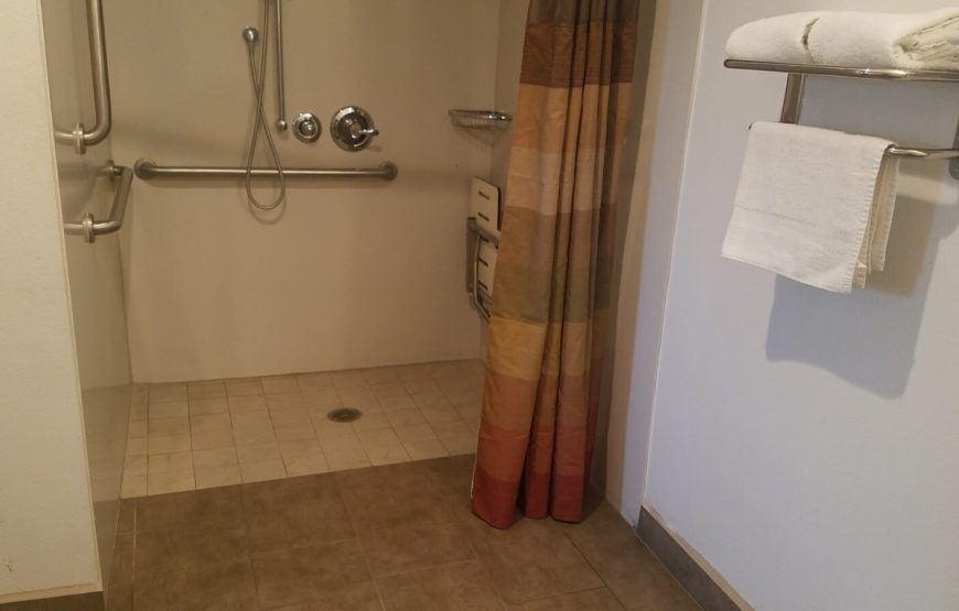 1 King Bed, Accessible with Roll-in Shower