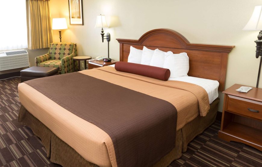 Standard Room, 1 King Bed, Non Smoking, Refrigerator & Microwave