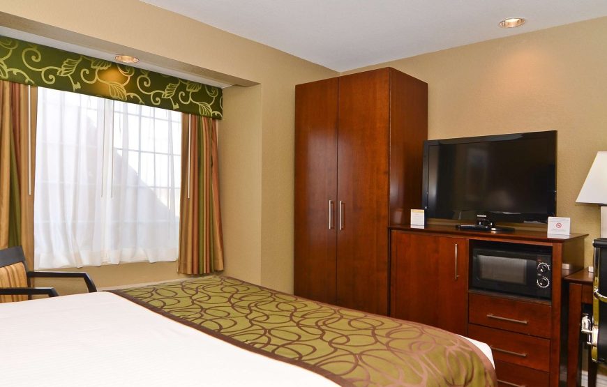 Standard Room, 1 King Bed, Accessible, Non Smoking
