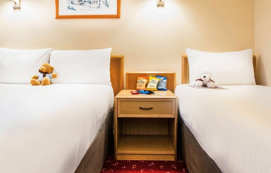 Standard Room, 2 Single Beds