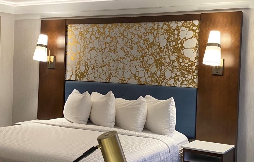 Standard Room, 1 King Bed with Sofa bed, Non Smoking, Refrigerator & Microwave (with Sofabed)