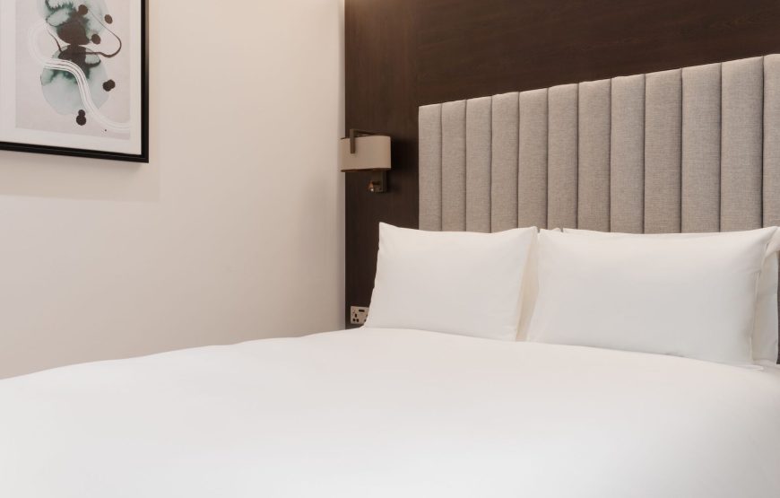 Standard Double Room, 1 King Bed