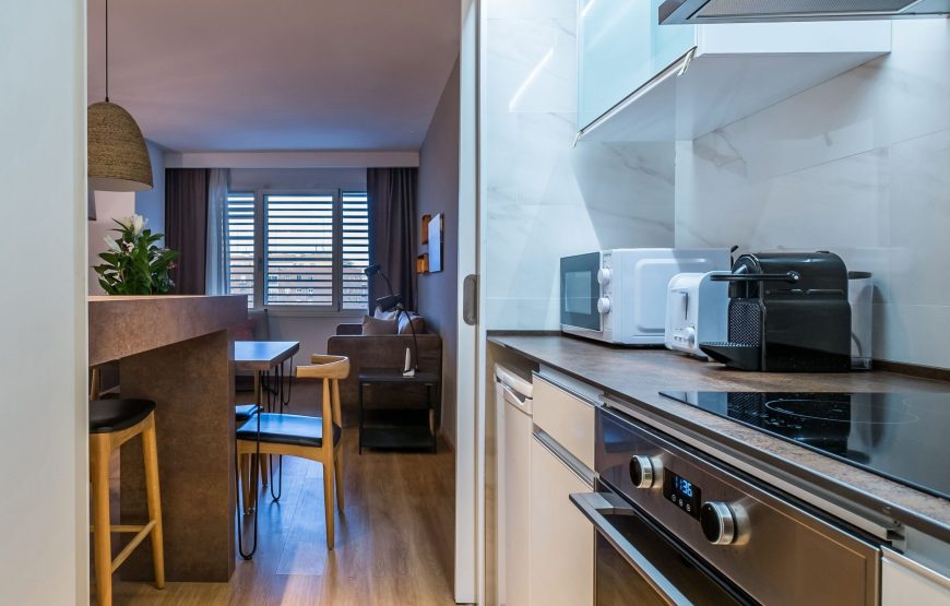 Apartamento familiar, 1 habitación (4 Personas)