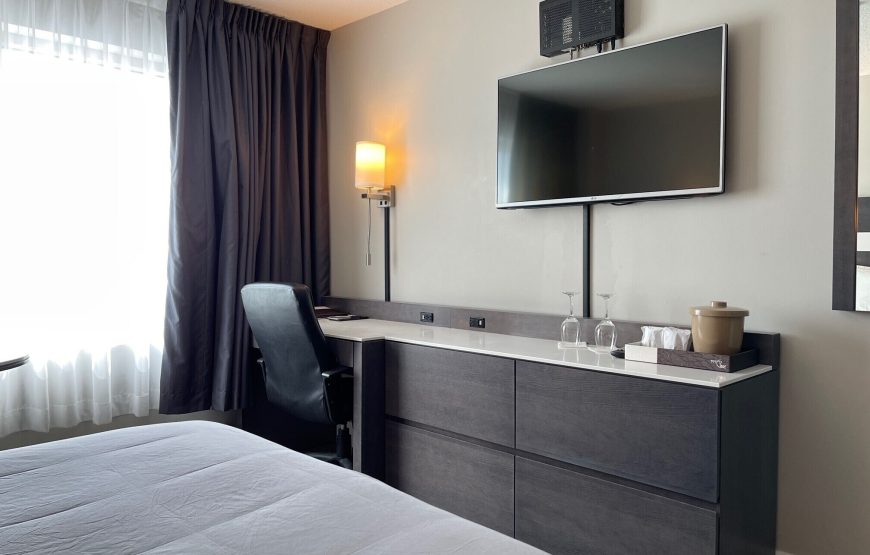 Basic Single Room