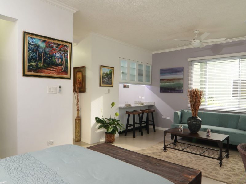 Business Apartment, 1 Bedroom, Kitchen