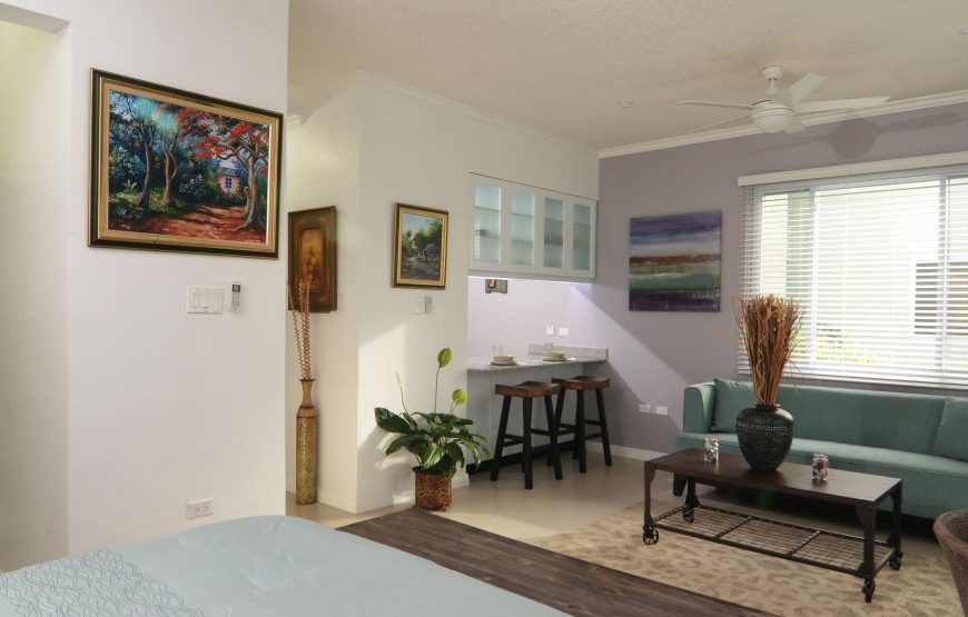 Business Apartment, 1 Bedroom, Kitchen