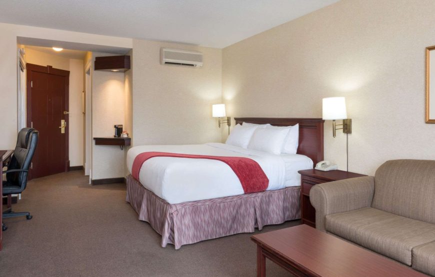 Business Room, 1 King Bed, Non Smoking