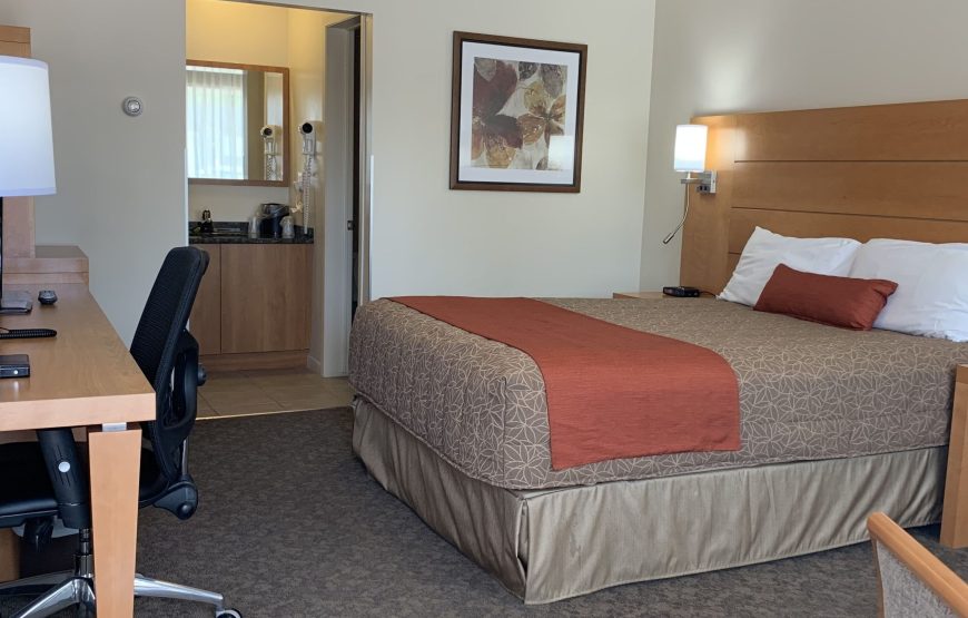Business Room, 1 Queen Bed