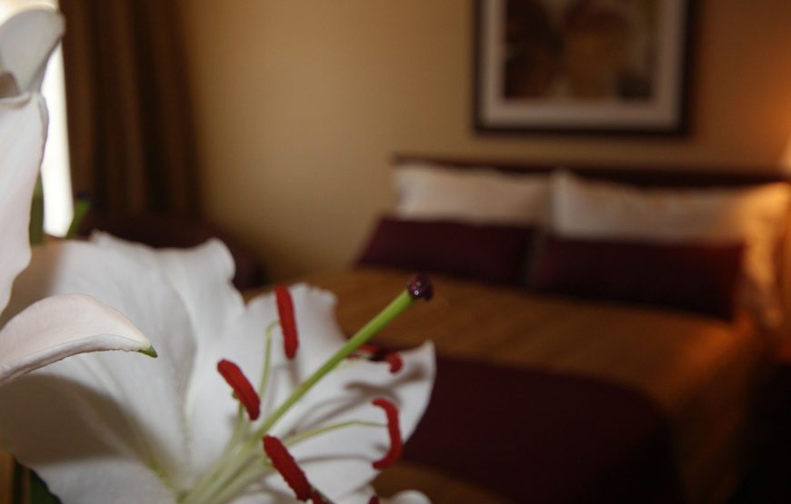 Classic Room, 1 Queen Bed