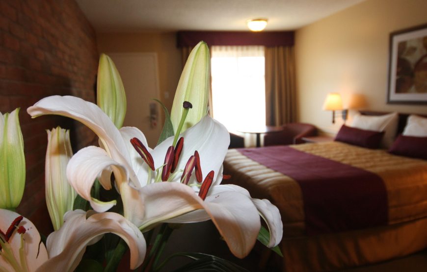 Classic Room, 1 Queen Bed