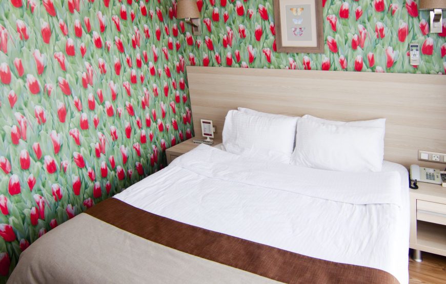 Executive Oda (1 Double Bed)