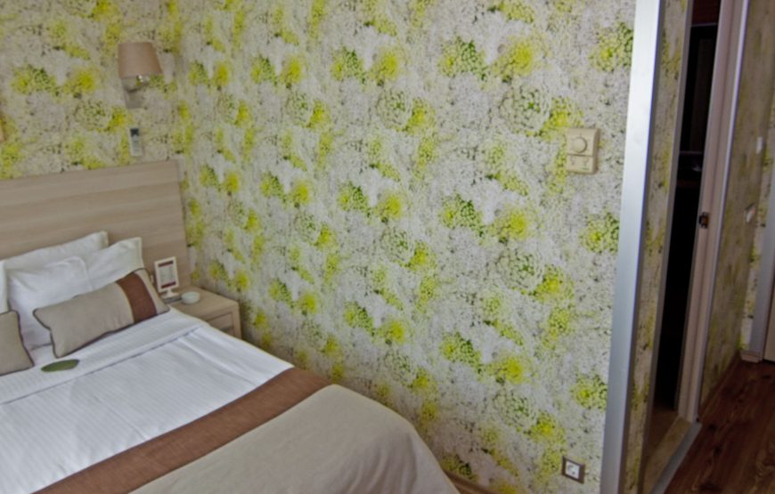 Executive Oda (1 Double Bed)
