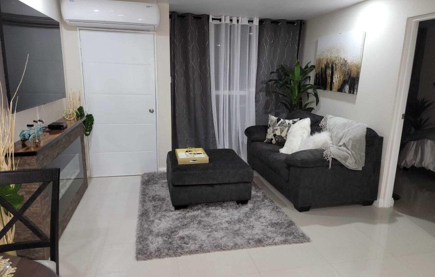 Luxury Apartment