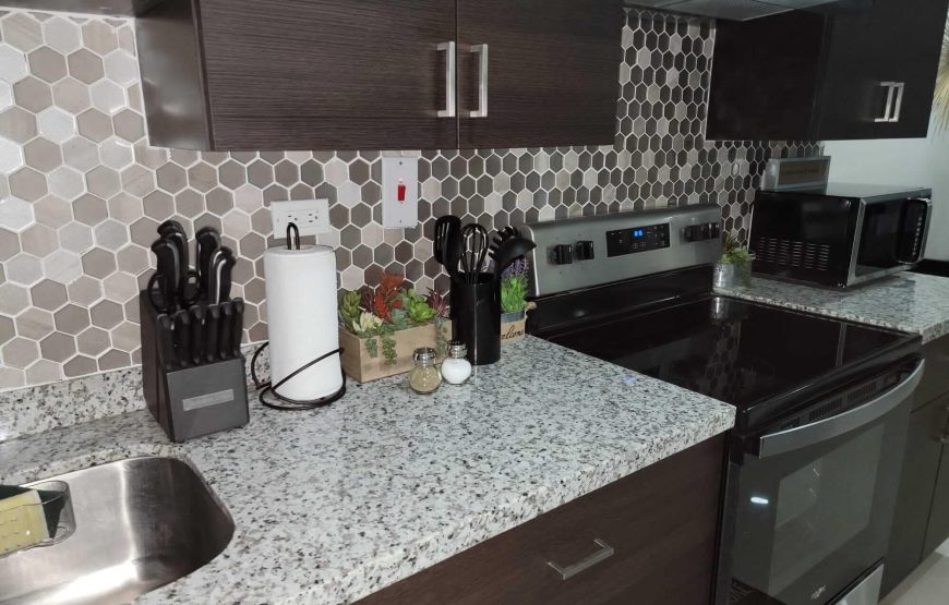 Luxury Apartment