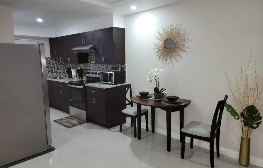Luxury Apartment