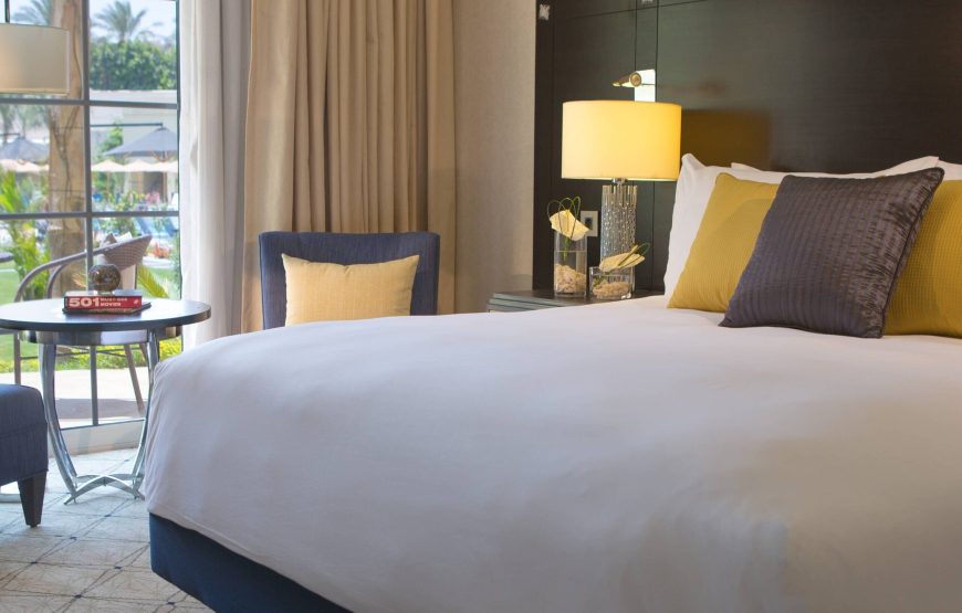 Room, 1 King Bed