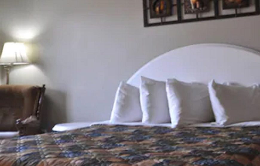 Room, 1 Queen Bed