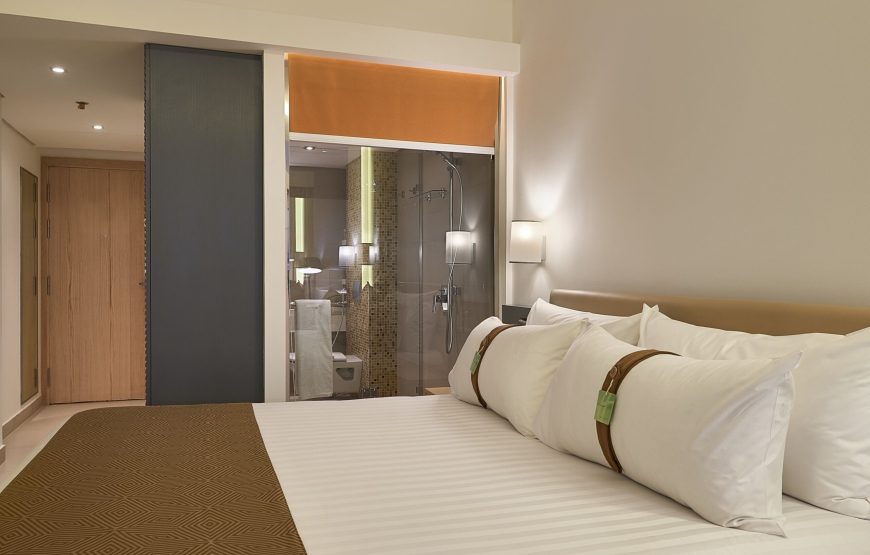 Standard Room, 1 King Bed, Non Smoking, City View