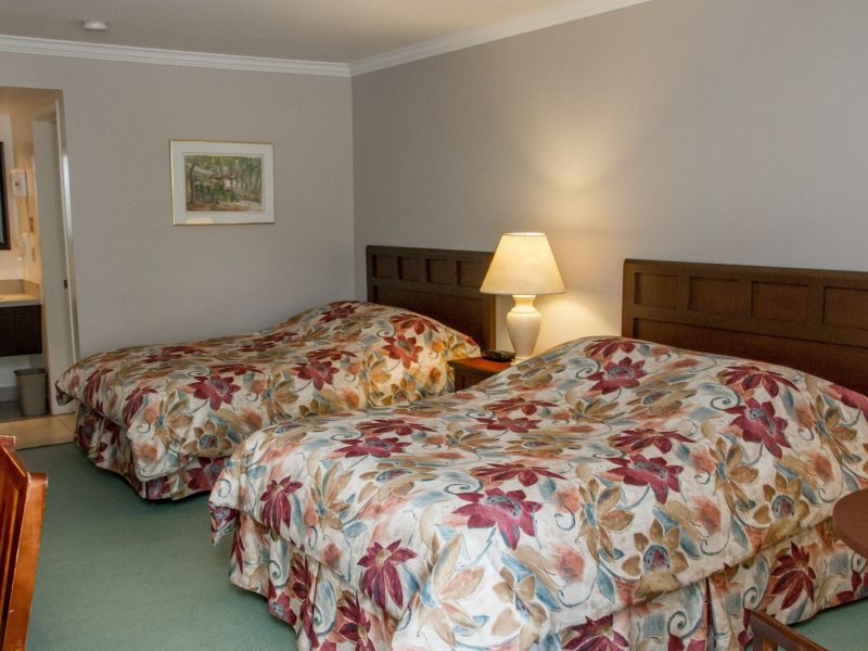 Standard Room, 2 Double Beds