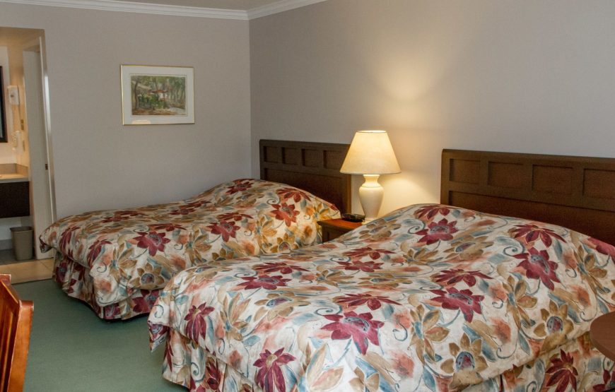 Standard Room, 2 Double Beds