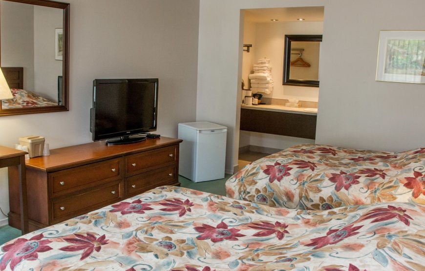 Standard Room, 2 Double Beds