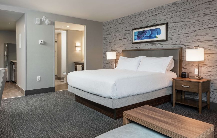 Studio Suite, 1 King Bed, Non Smoking