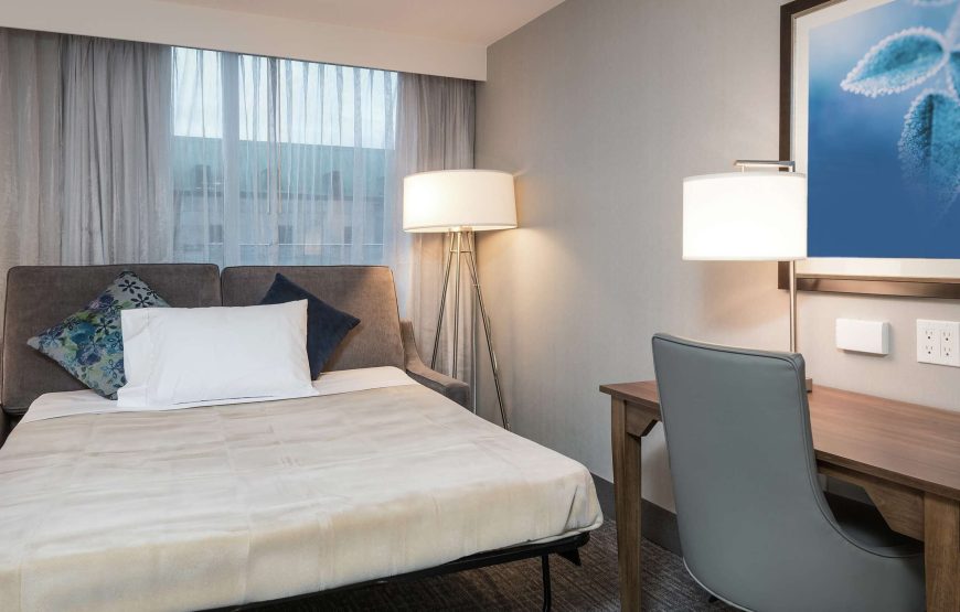 Studio Suite, 1 King Bed