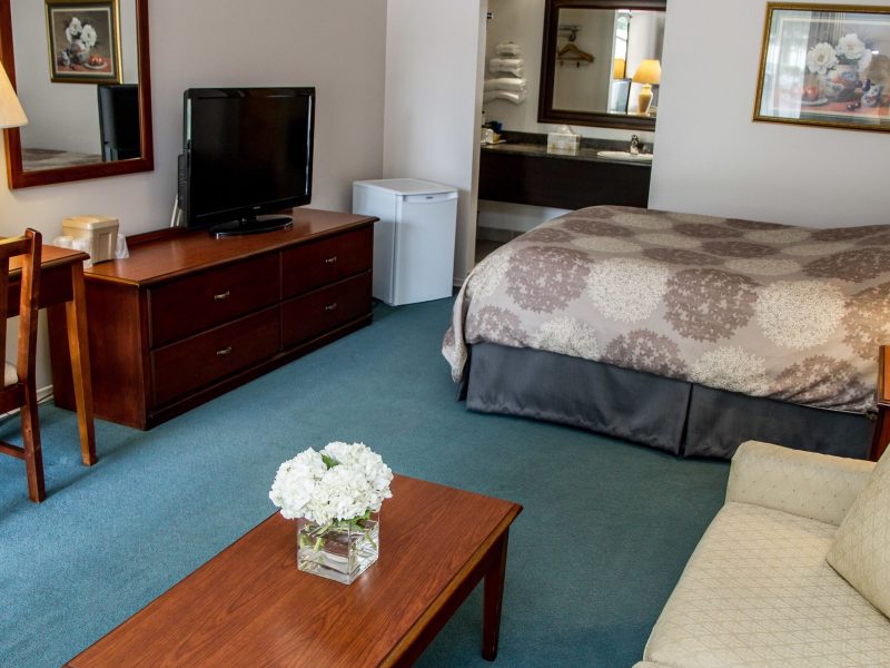 Suite, 1 Queen Bed