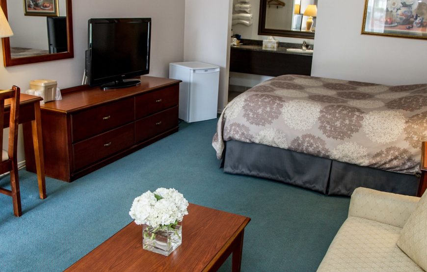 Suite, 1 Queen Bed