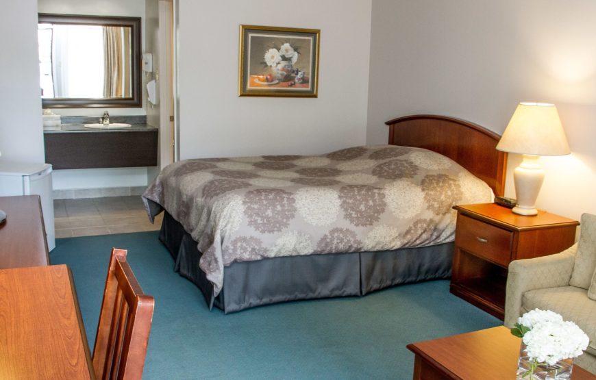 Suite, 1 Queen Bed