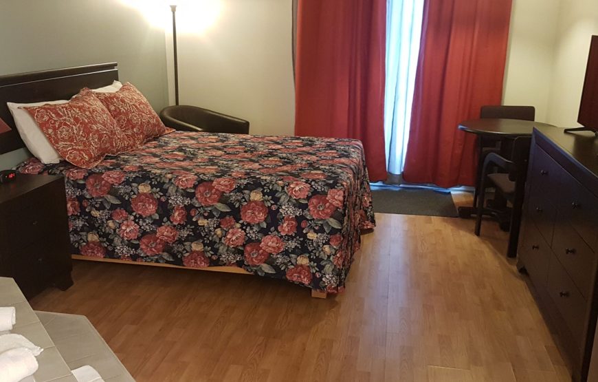 Suite, 1 Queen Bed