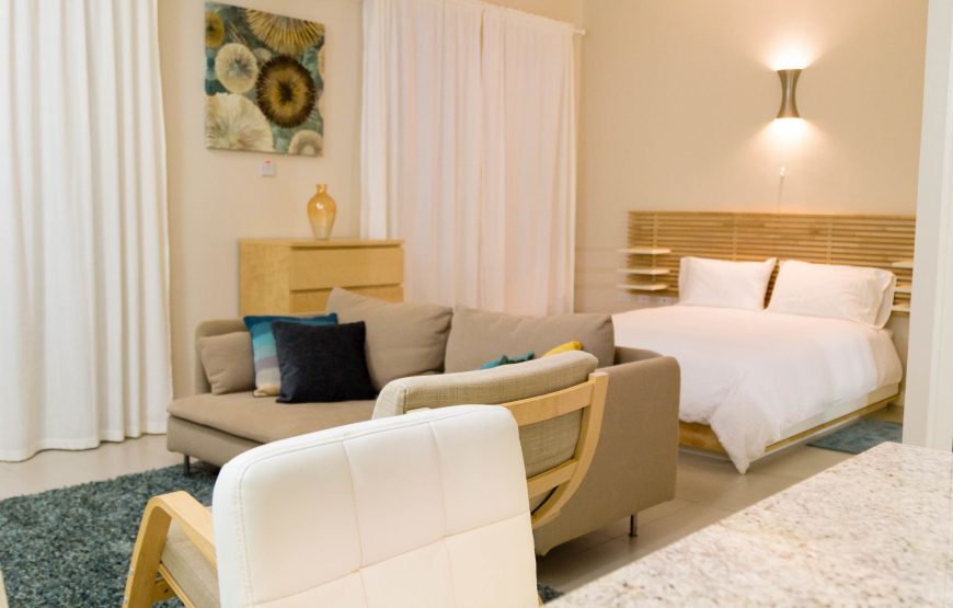 Superior Apartment, 1 Bedroom, Ensuite