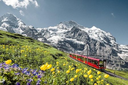 Jungfraujoch Top of Europe Day Trip from Interlaken